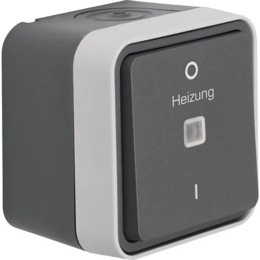 Hager KONTROLL-AUS.HEIZUNG 2-P. IP55 / HAGERS WNC015 GR W.1 BERKER WNC015
