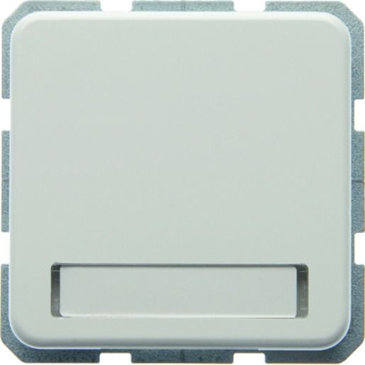 Berker WG-UP SSD MIT KLAPPDECKEL UND / BERKER 471909