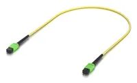 Ubiquiti Indoor OS2 single-mode fiber patch cable with MPO-12 Type - Single- bzw. Monomode-Faser - 0,5 m