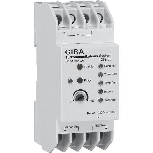 Gira REG-SCHALTAKTOR / GIRA 1289 00 128900