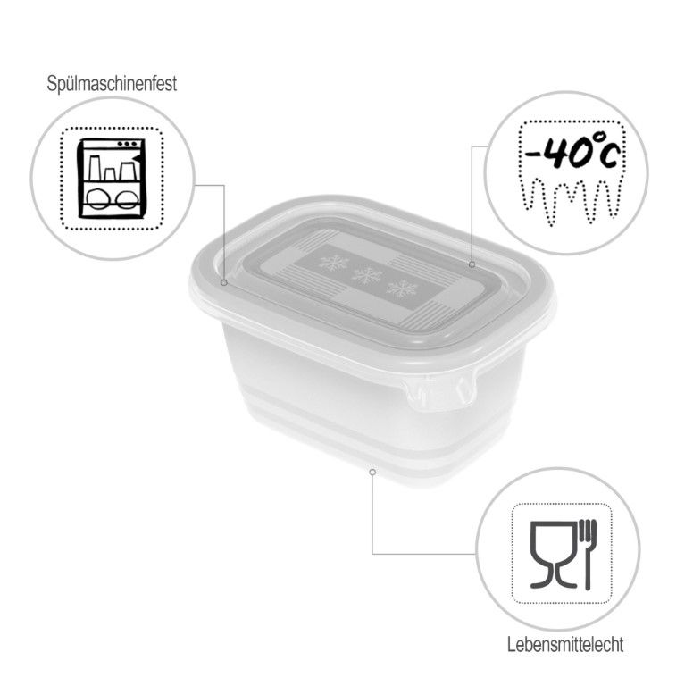 Rotho Set Gefrierdosen 6 x 0.25 l FREEZE
