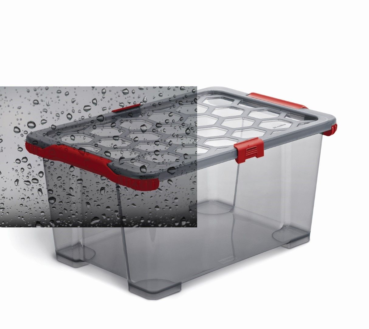 Rotho Box 44 l EVO TOTAL