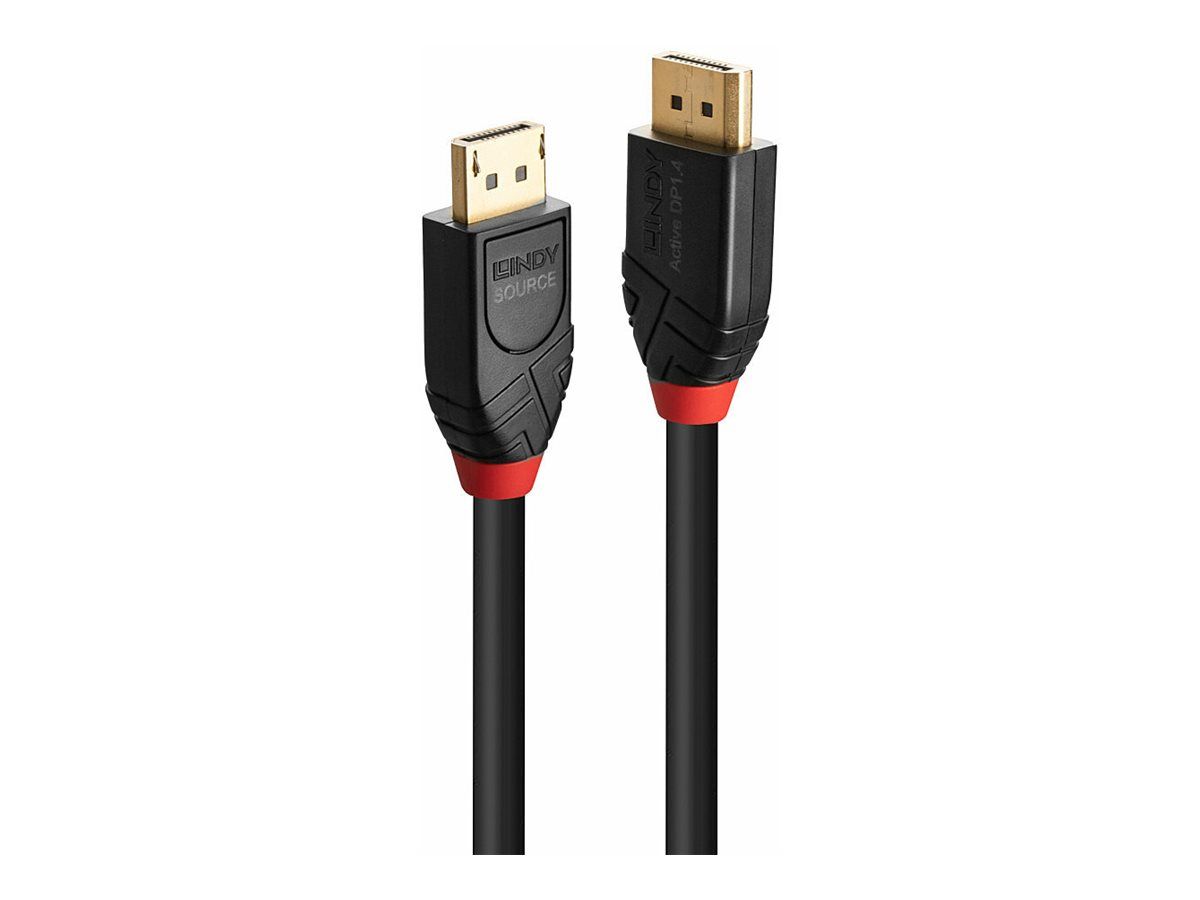 Lindy DisplayPort-Kabel - DisplayPort (M)