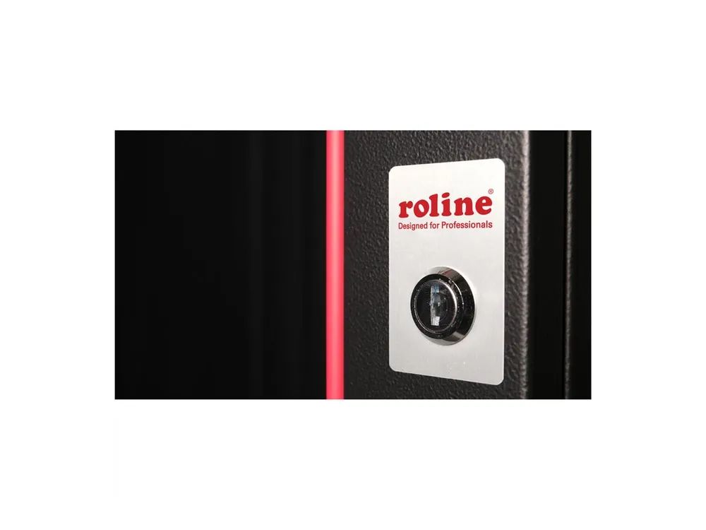 ROLINE Pro - Schrank Netzwerkschrank - 600 x 450 mm (B x T)