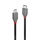 Lindy Anthra Line - USB-Kabel - 24 pin USB-C (M)