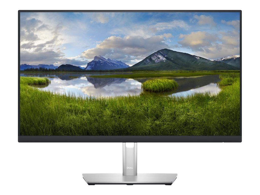 Dell P2423DE - LED-Monitor - 60.45 cm (23.8")