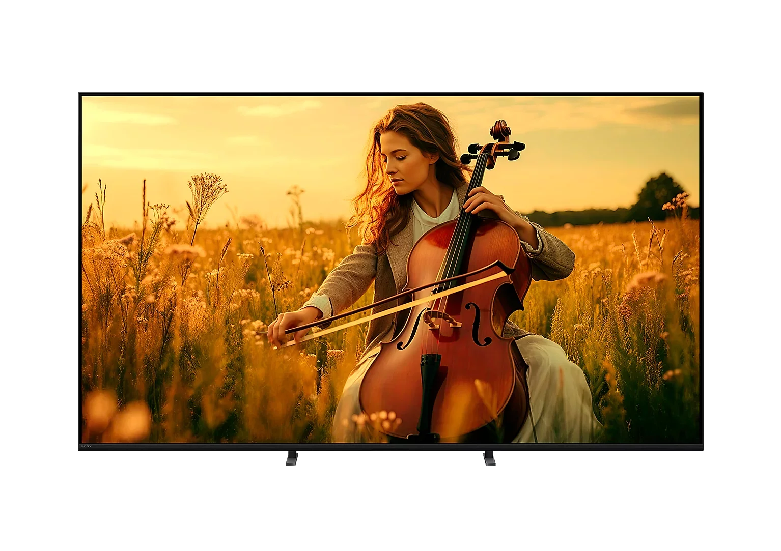 Sony K98XR55BP.CEI