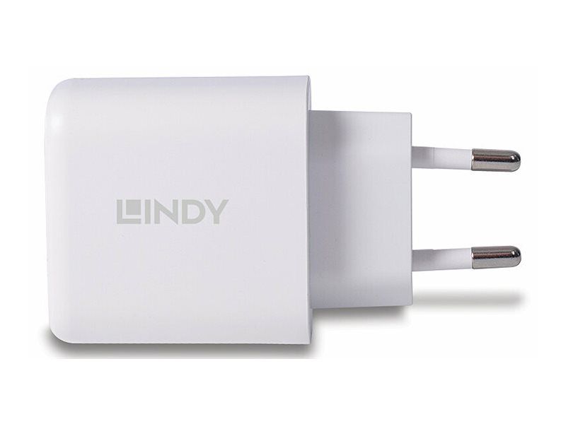 Lindy Netzteil - 30 Watt - 3 A - PD 3.0 - 2 Ausgabeanschlussstellen (4-polig USB Typ A / 24-polig USB-C)