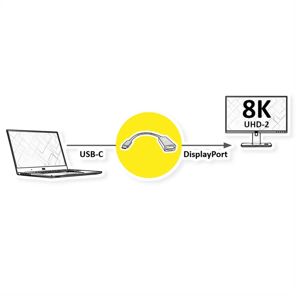 ROLINE Display Adapter USB Typ C - DP, ST/BU, 8K60