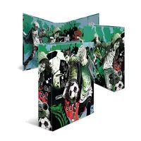 HERMA Ordner Street Soccer