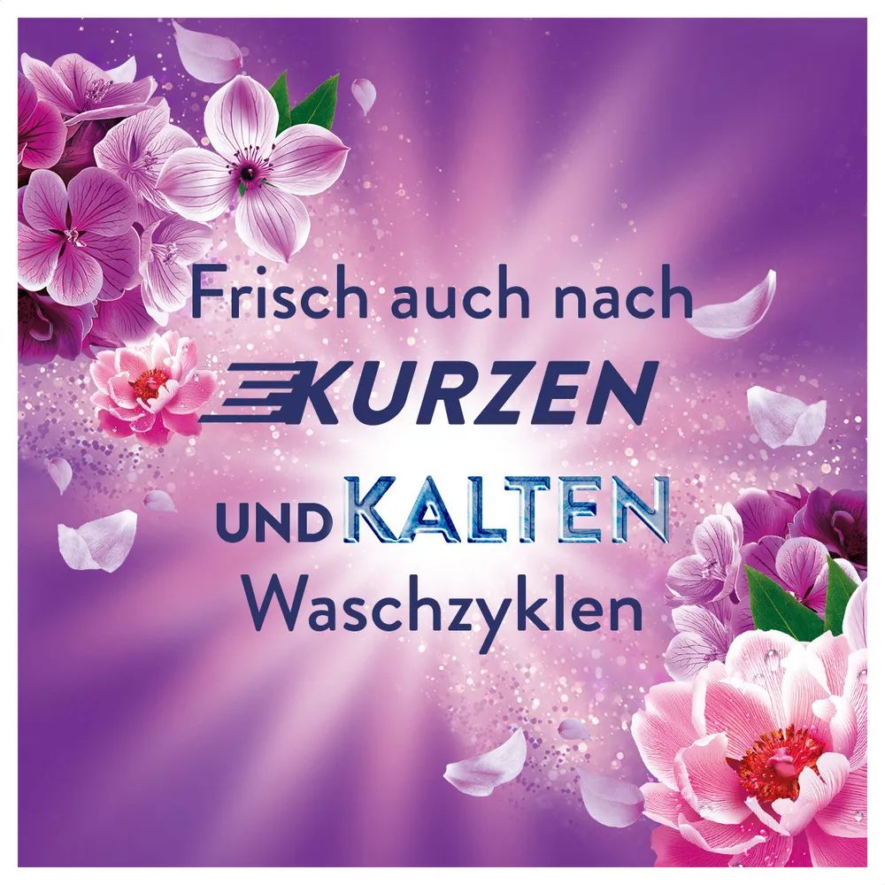 Lenor Amethyst Blütentraum Flasche - 1491ml 