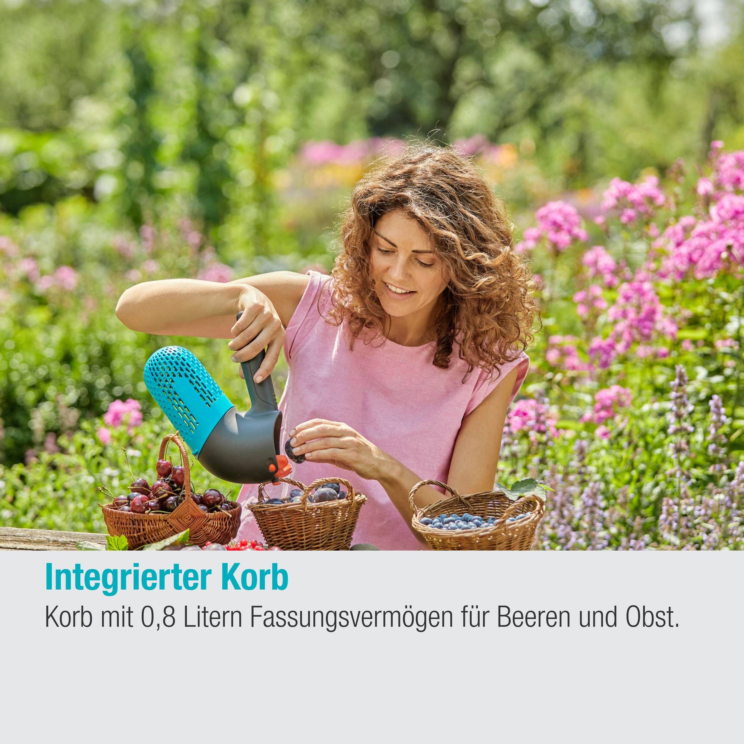 Gardena combisystem-Beerensammler