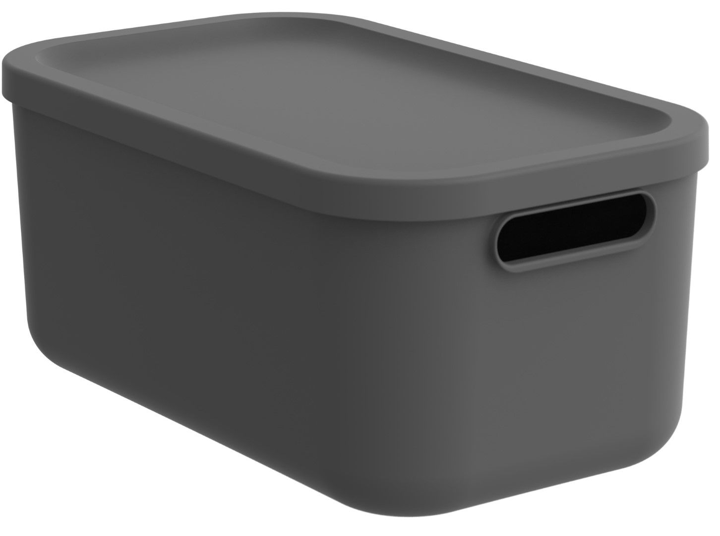 Rotho Box 12 l ALBULA LIGHT