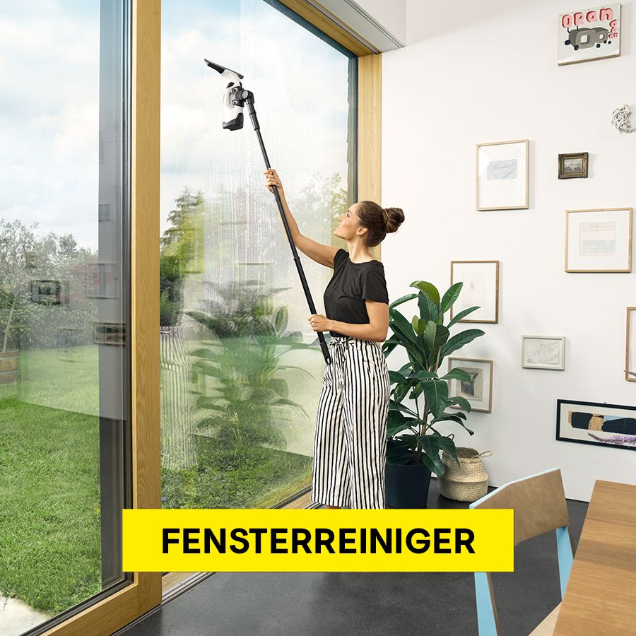 Fensterreiniger