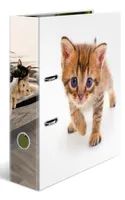 HERMA Ordner A4 Karton Katze - Bürokleinmaterial