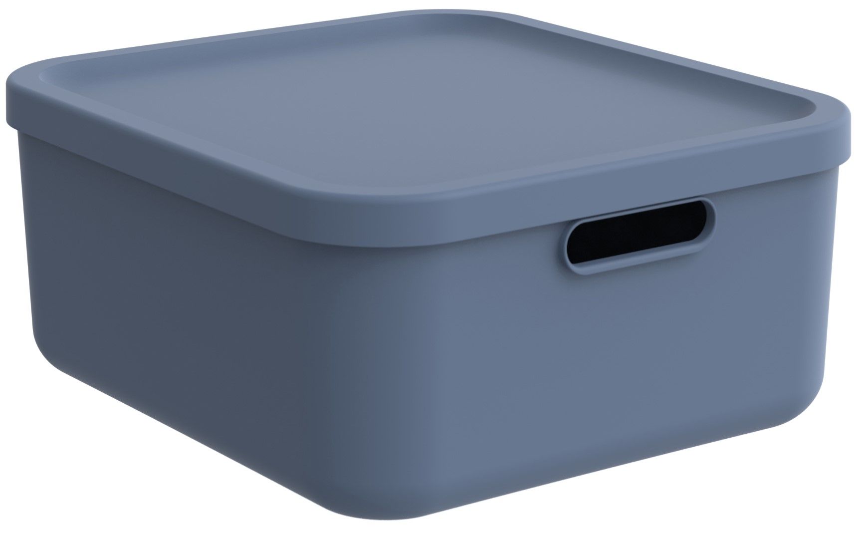 Rotho Box 20 l ALBULA LIGHT