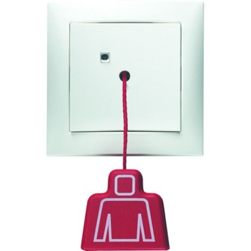 Berker ZUGTASTER M.RAH.24V= PWS GL. / BERKER 52028989 S.1/B.X 52028989