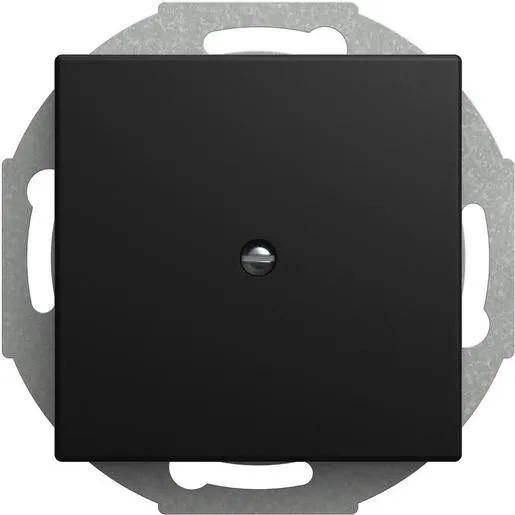 Busch-Jaeger ZENT.SCH.LEITUNGSAUSL SW-MATT / BUSCH 2527-915 2CKA001710A4256