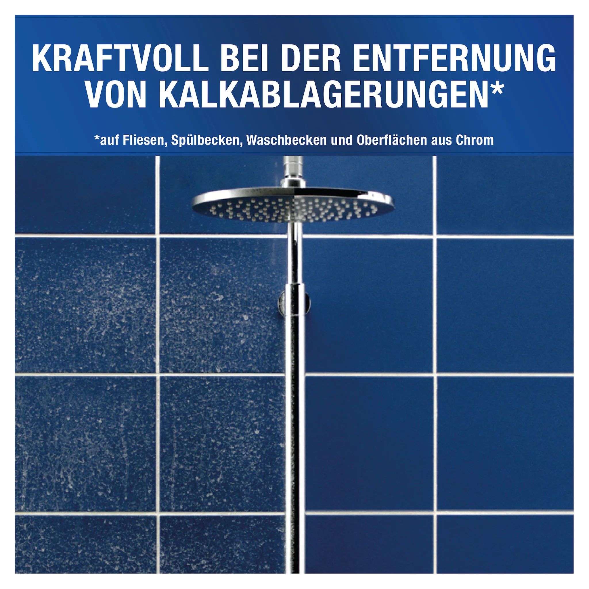 Antikal Professional Desinfizierender Kalk- & Sanitärreiniger