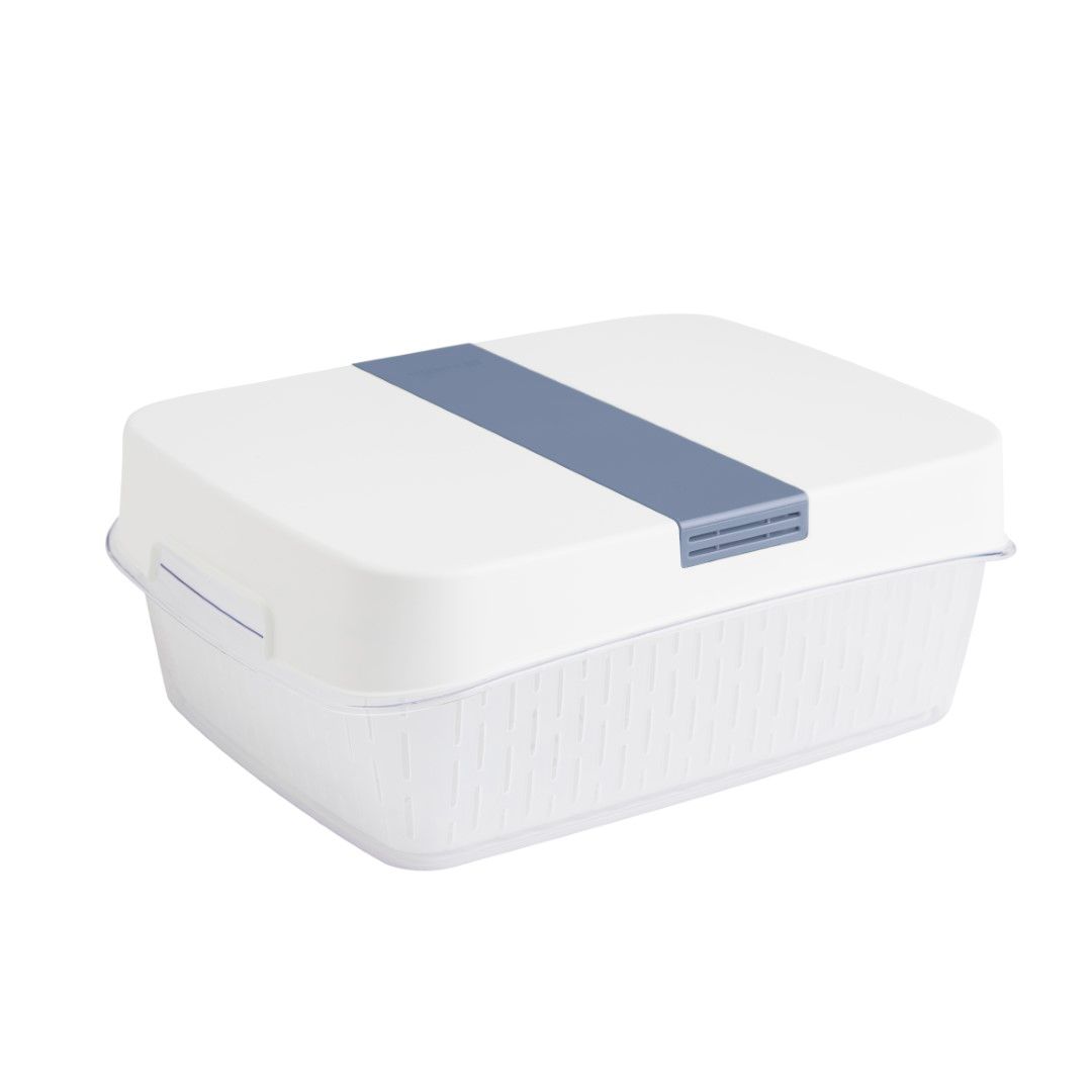 Rotho Dynamic Box 6,4 L FRESH