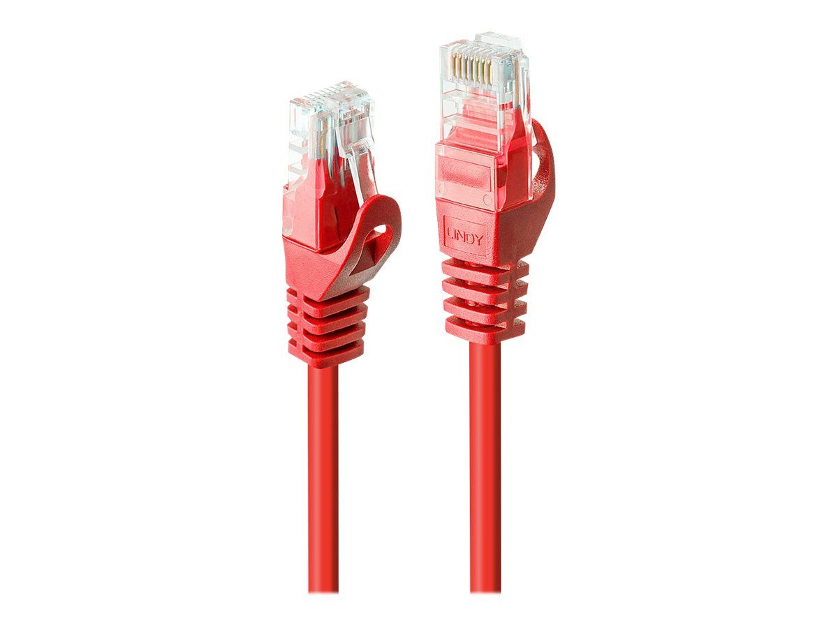 Lindy Basic - Patch-Kabel - RJ-45 (M) bis RJ-45 (M)