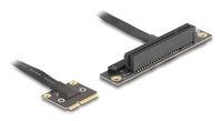 Delock Riser Card