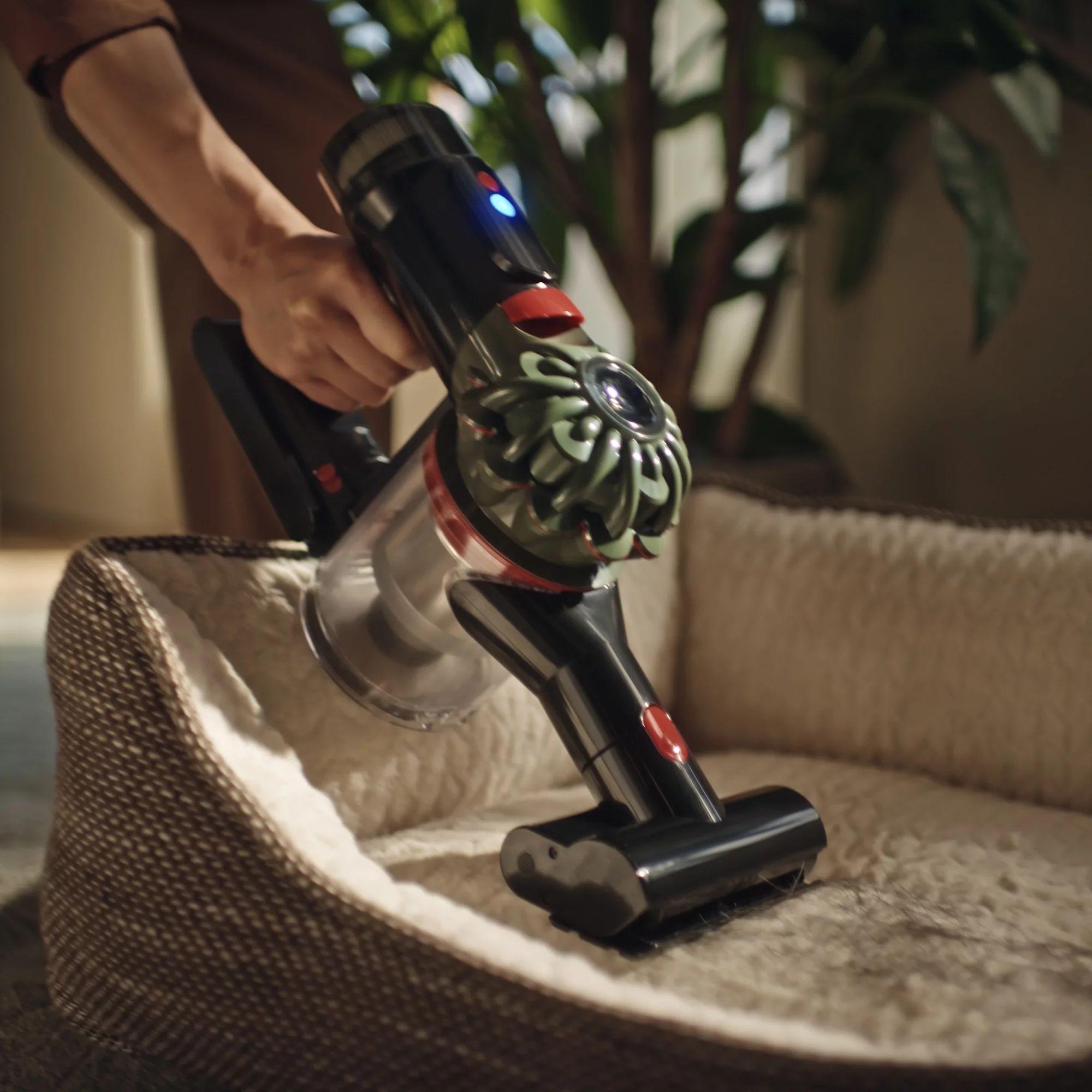 Dyson V8 Cyclone, Schwarz/Grün