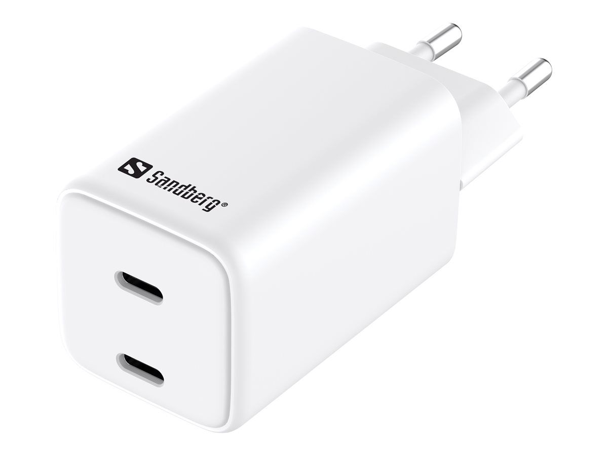 SANDBERG Netzteil - 65 Watt - 3.25 A - 2 Ausgabeanschlussstellen (24 pin USB-C)