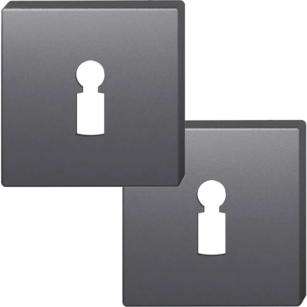 FSB Buntbartrosette quadratisch 12 1704 00002 ASL, Aluminium schwarz matt