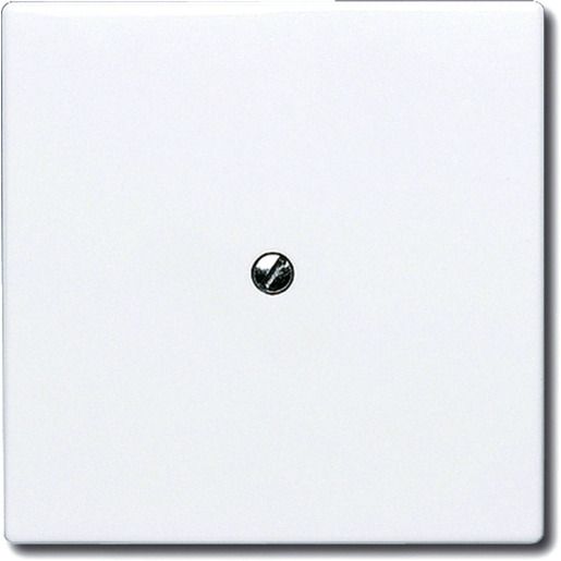 Busch-Jaeger ALLW. C-SCH.+TRAGR.BLIND / BUSCH 2138-34 2CKA001710A1852