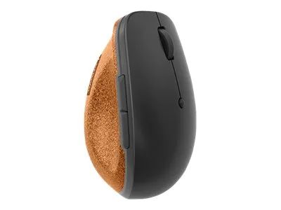 Lenovo Go - Maus - ergonomisch - Für Rechtshänder - optisch blau - 6 Tasten - kabellos - 2.4 GHz - kabelloser Empfänger (USB)
