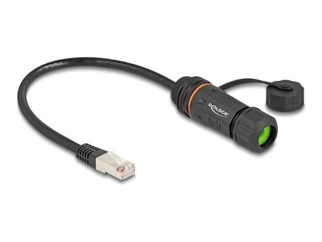 Delock Netzwerkverlängerungskabel - RJ-45 (M)