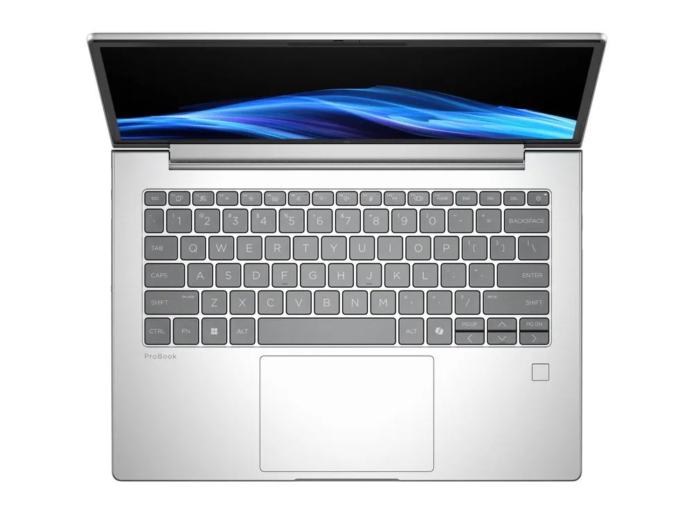 HP ProBook 4 G1i Notebook AI - 177°-Scharnierdesign - Intel Core Ultra 5 225U / 1.5 GHz - Win 11 Pro - Intel Graphics - 24 GB RAM - 512 GB SSD NVMe - 40.6 cm (16")