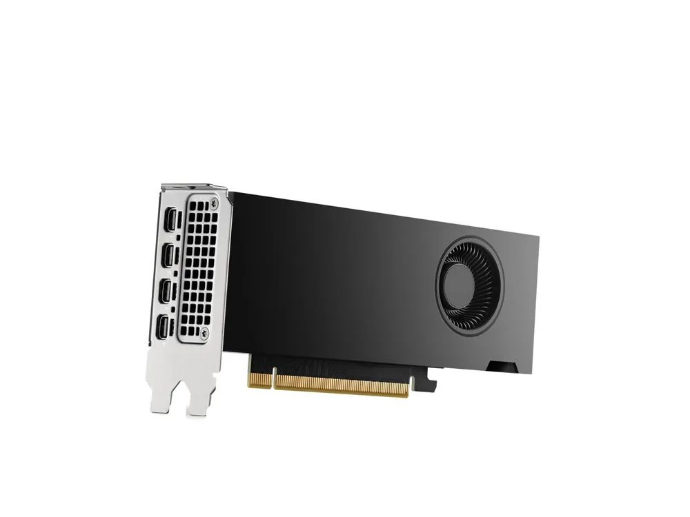 HP NVIDIA RTX - Grafikkarte - NVIDIA RTX 2000 Ada