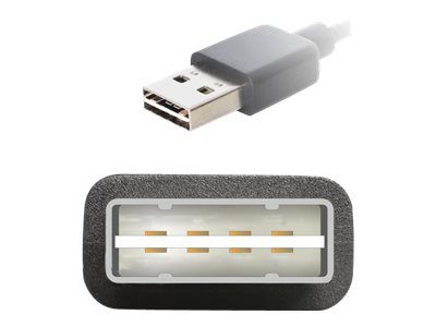Delock EASY-USB - USB-Verlängerungskabel - USB (W)