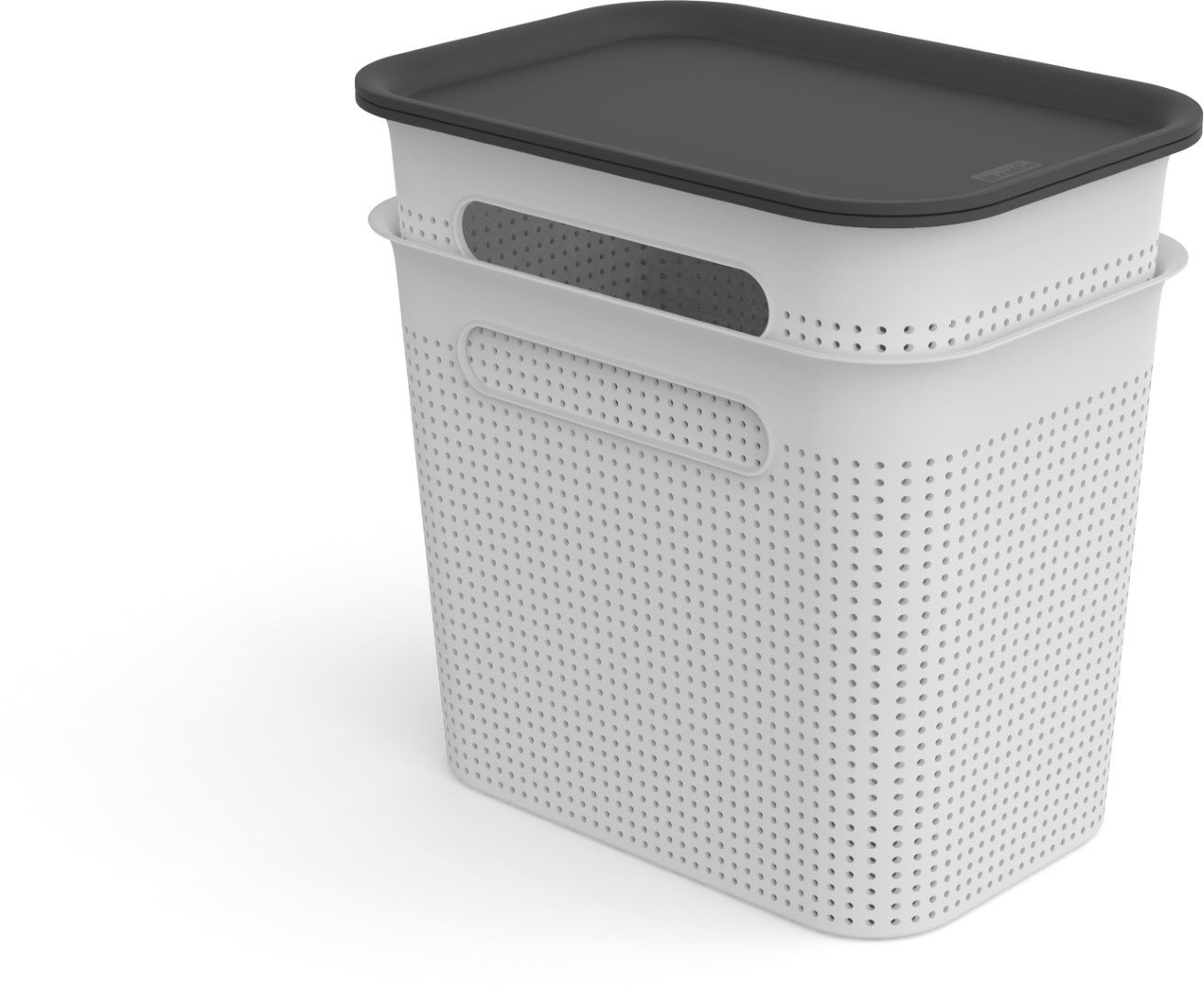 Rotho Box schmal 7 l BRISEN