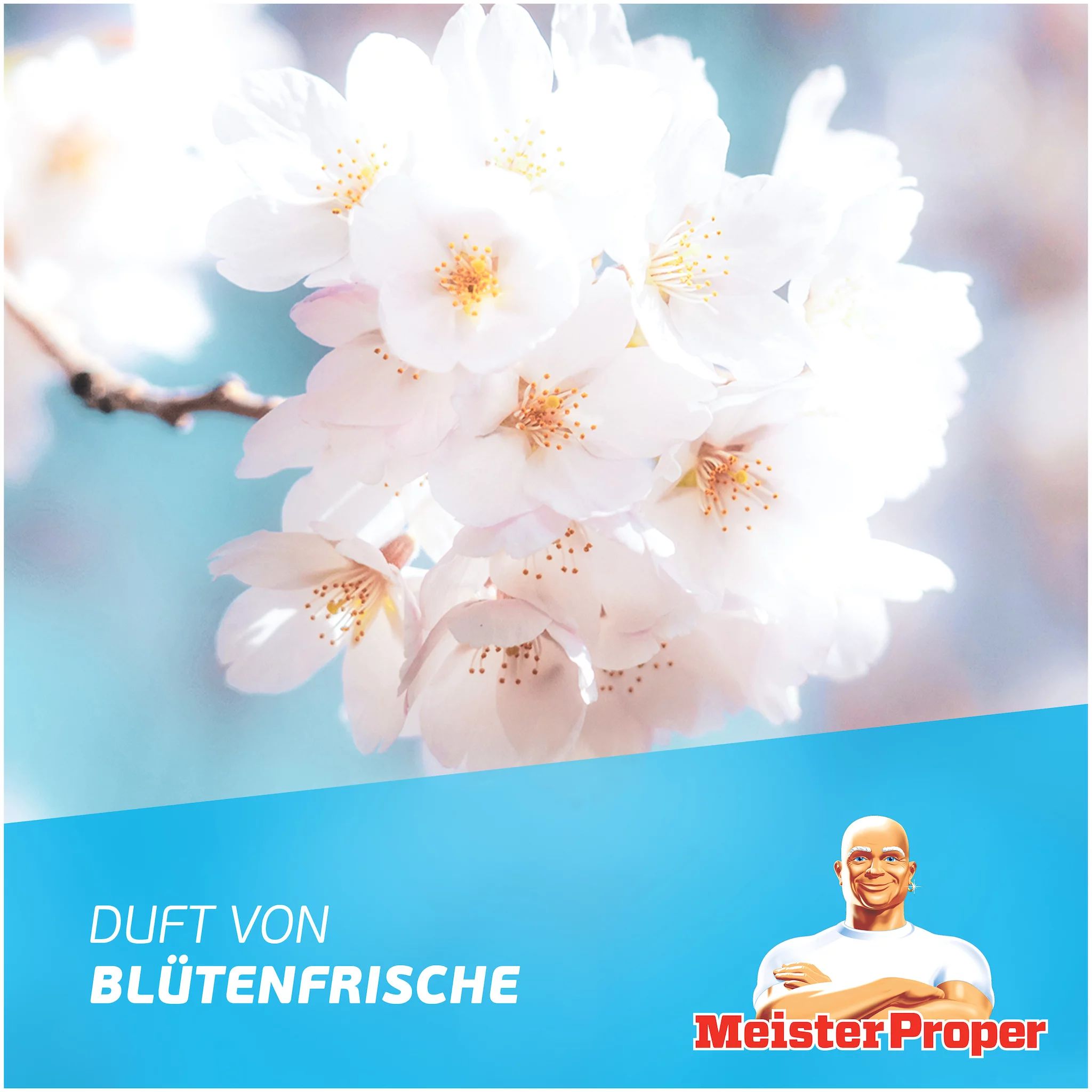 Meister Proper Sprühen-Wischen-Fertig Spray Bad
