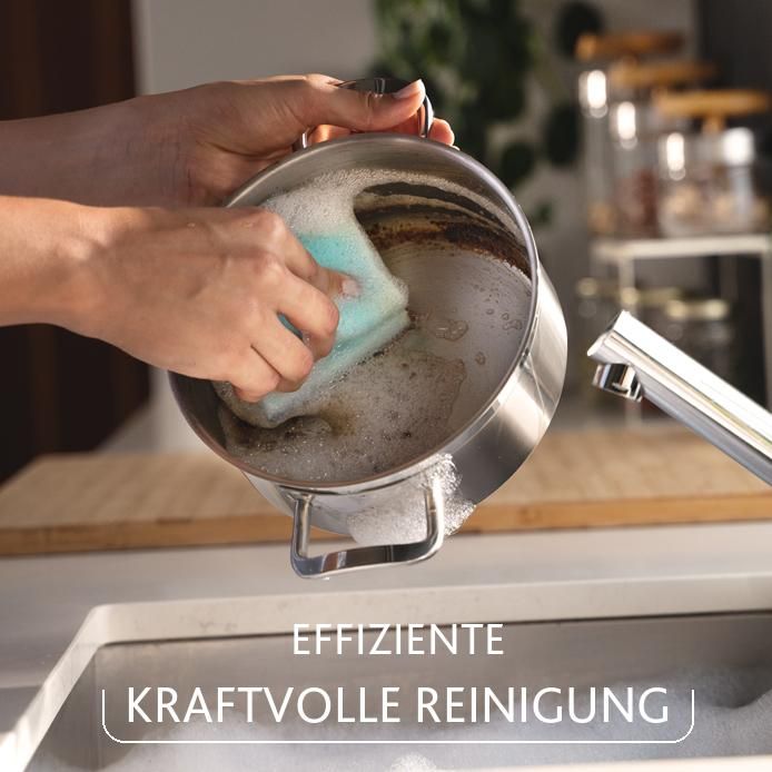 VILEDA PRO CLEAN Spülschwamm
