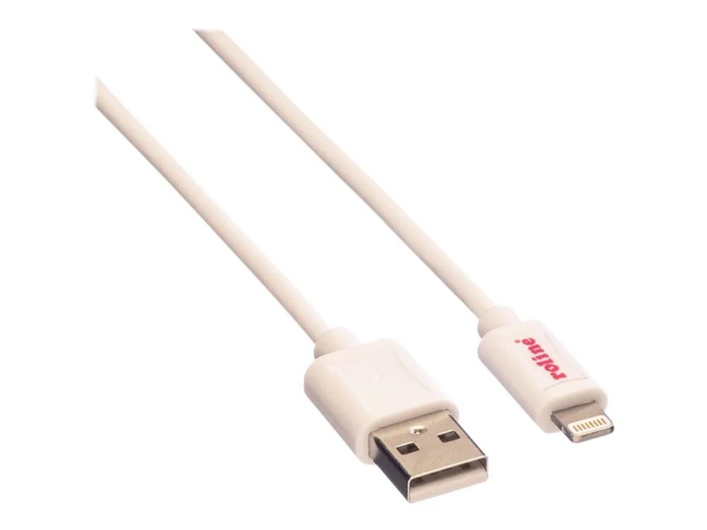 ROLINE Lightning-Kabel - Lightning männlich zu USB männlich