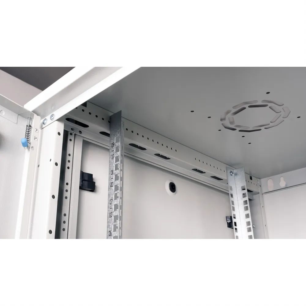 ROLINE 19-Zoll Wandgehäuse Basic Plus 9HE, 600x600 BxT grau