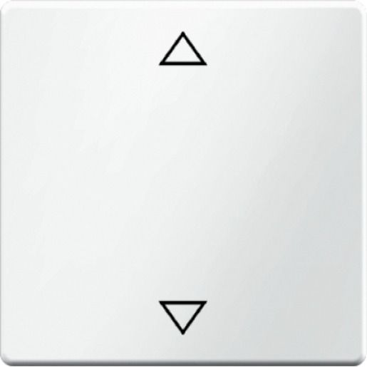 Berker WIPPE MIT AUFDRUCK SYMBOL / BERKER 16206079 PW Q.1 16206079