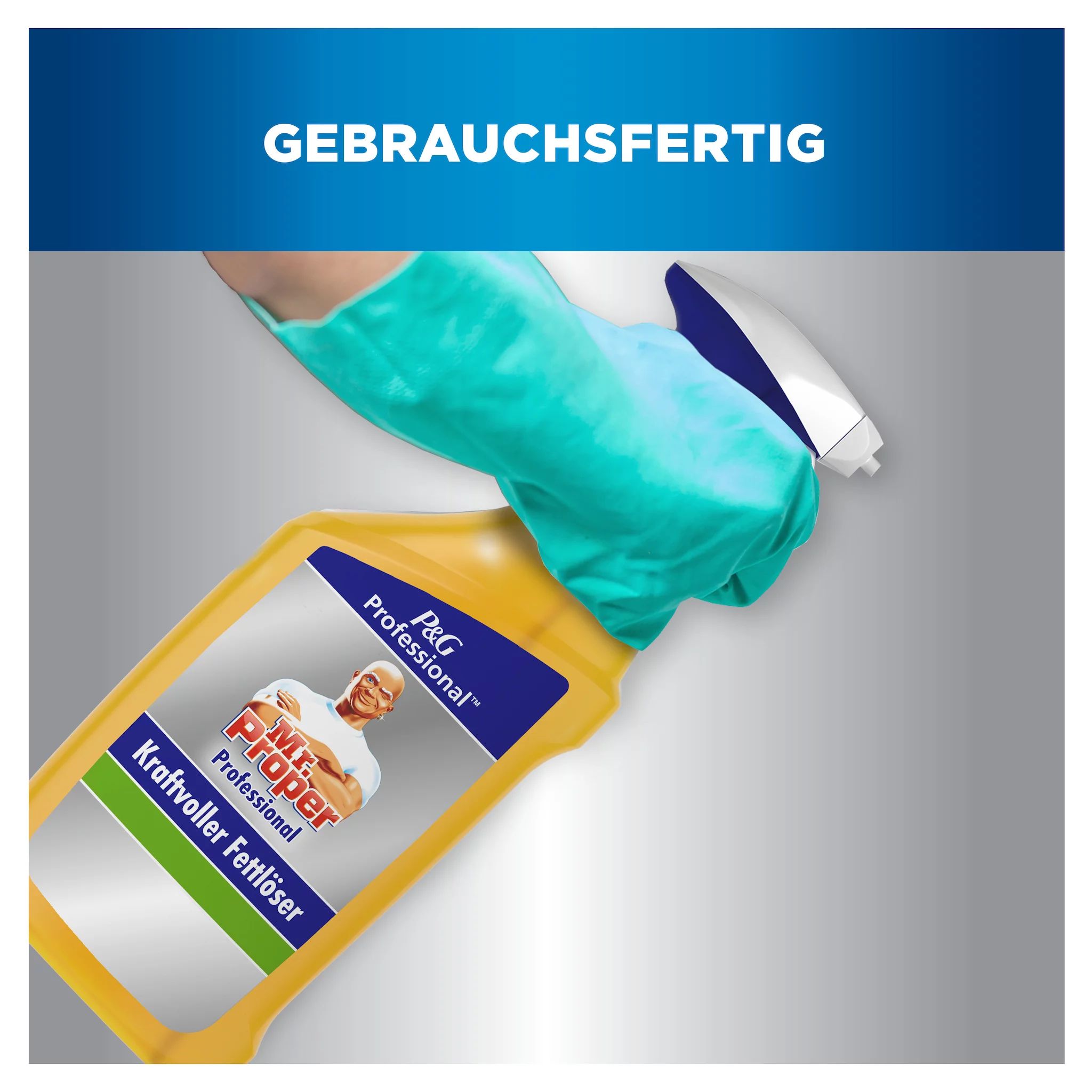 Mr Proper Professional Kraftvoller Fettlöser