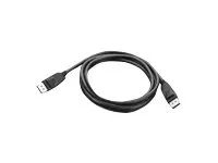 Lenovo DisplayPort-Kabel - DisplayPort (M)