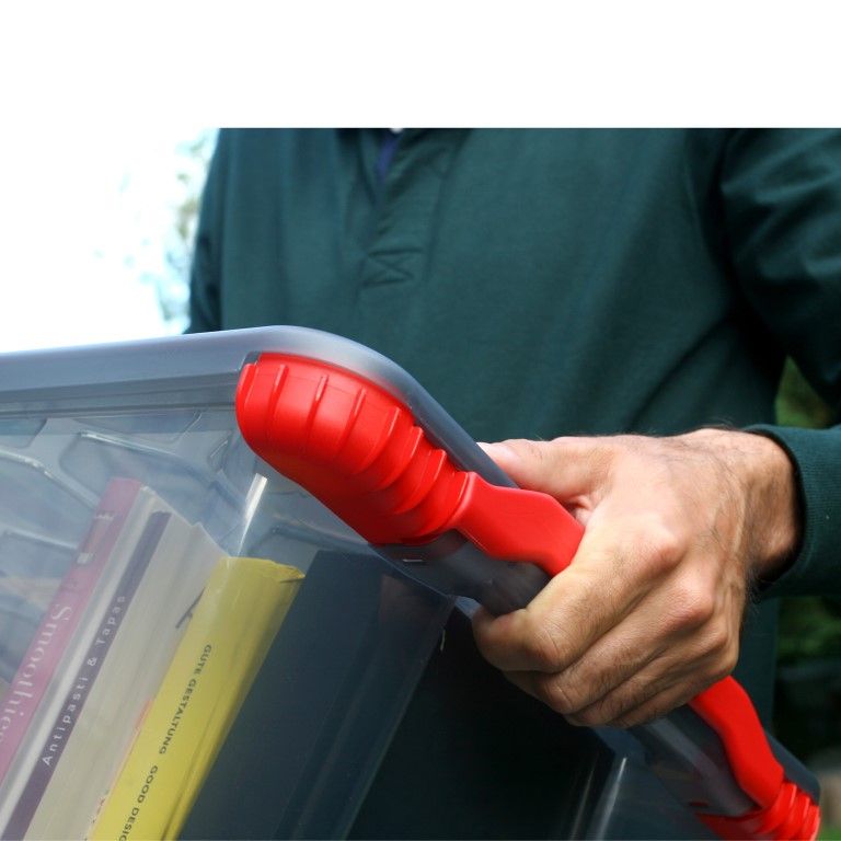 Rotho Box 11 l EVO TOTAL