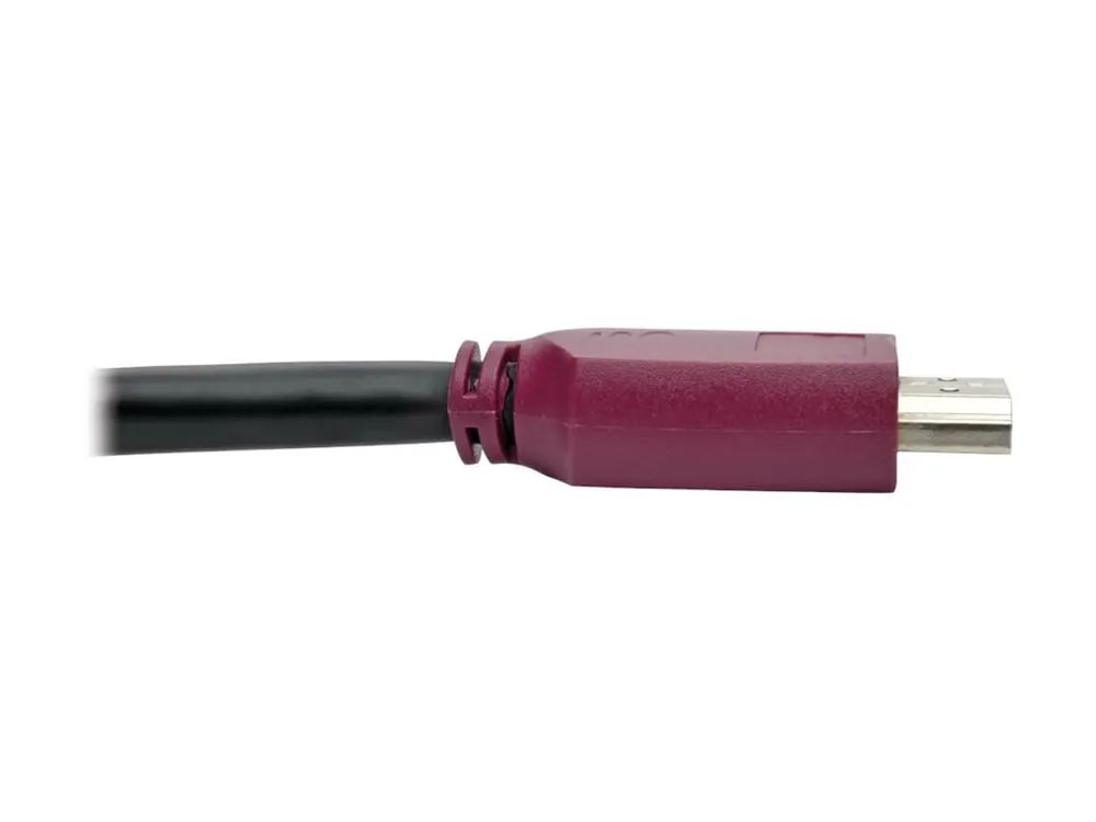 Tripp Eaton Tripp Lite Series 10ft Premium Hi-Speed