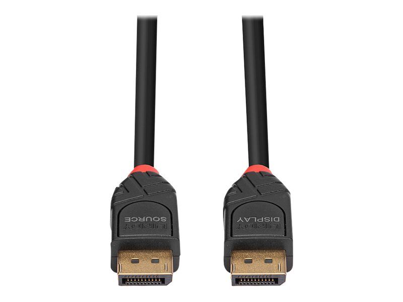 Lindy DisplayPort-Kabel - DisplayPort (M)