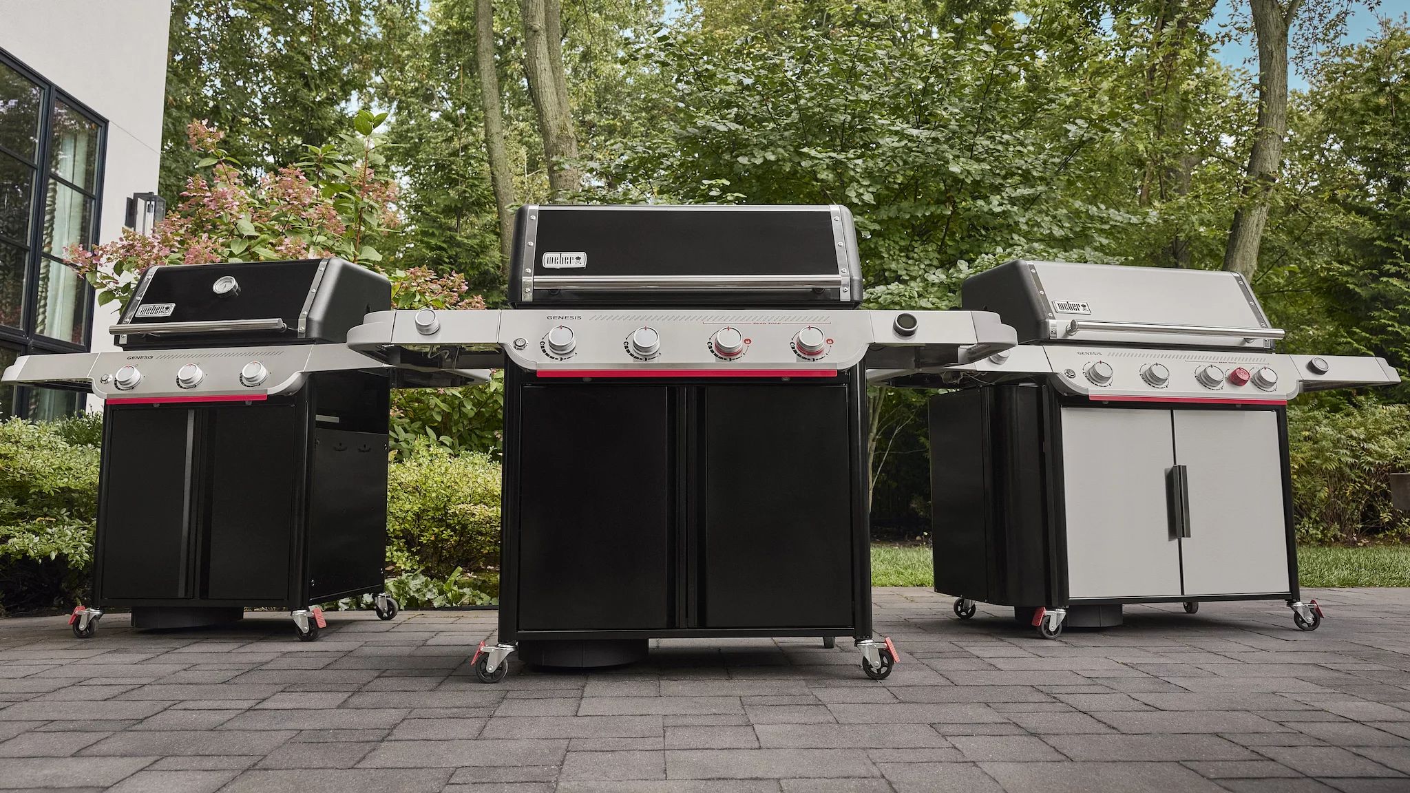 Weber GENESIS E-435W