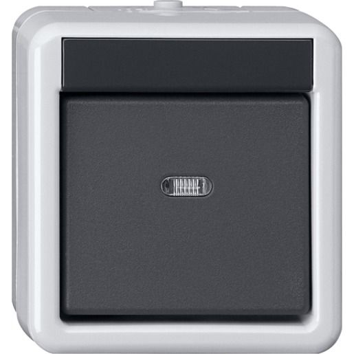 Gira TASTER BA 1F 1PKT WG AP GRAU / GIRA 515130