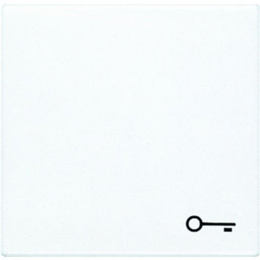 Jung WIPPE M.SYMBOL TÜR / JUNG LS 990 T WW LS990TWW
