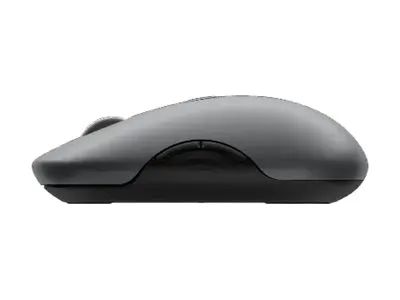 Lenovo 700 - Maus - Multi-Gerät - rechts- und linkshändig - optisch - 6 Tasten - kabellos - Bluetooth 5.3, 2.4 GHz - kabelloser Empfänger (USB)